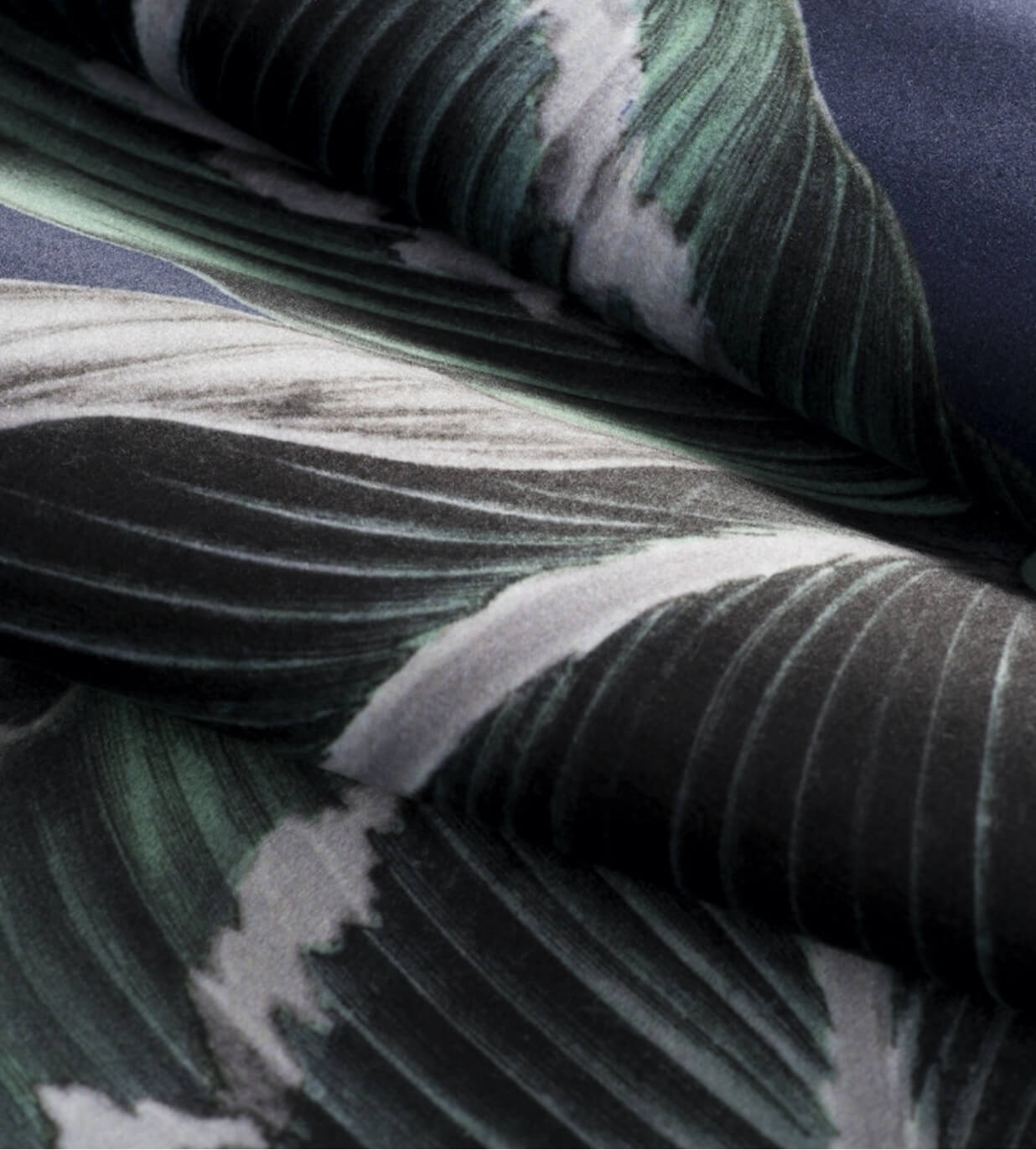 CXL by Christian Lacroix